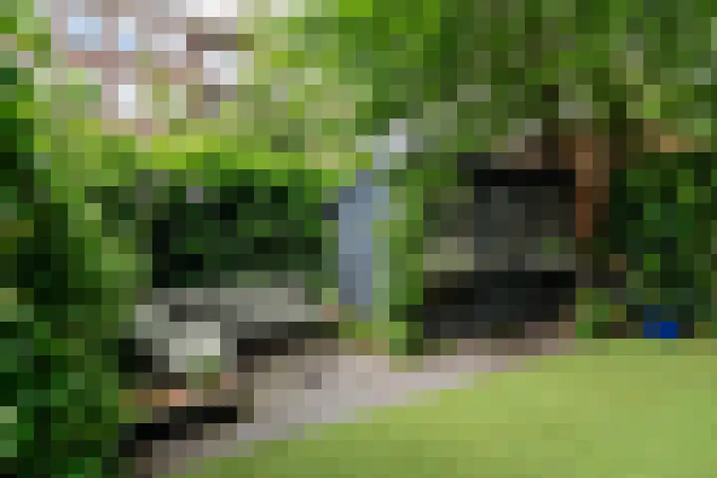 Kijkduinstraat 71 2 Amsterdam thumbnail 11