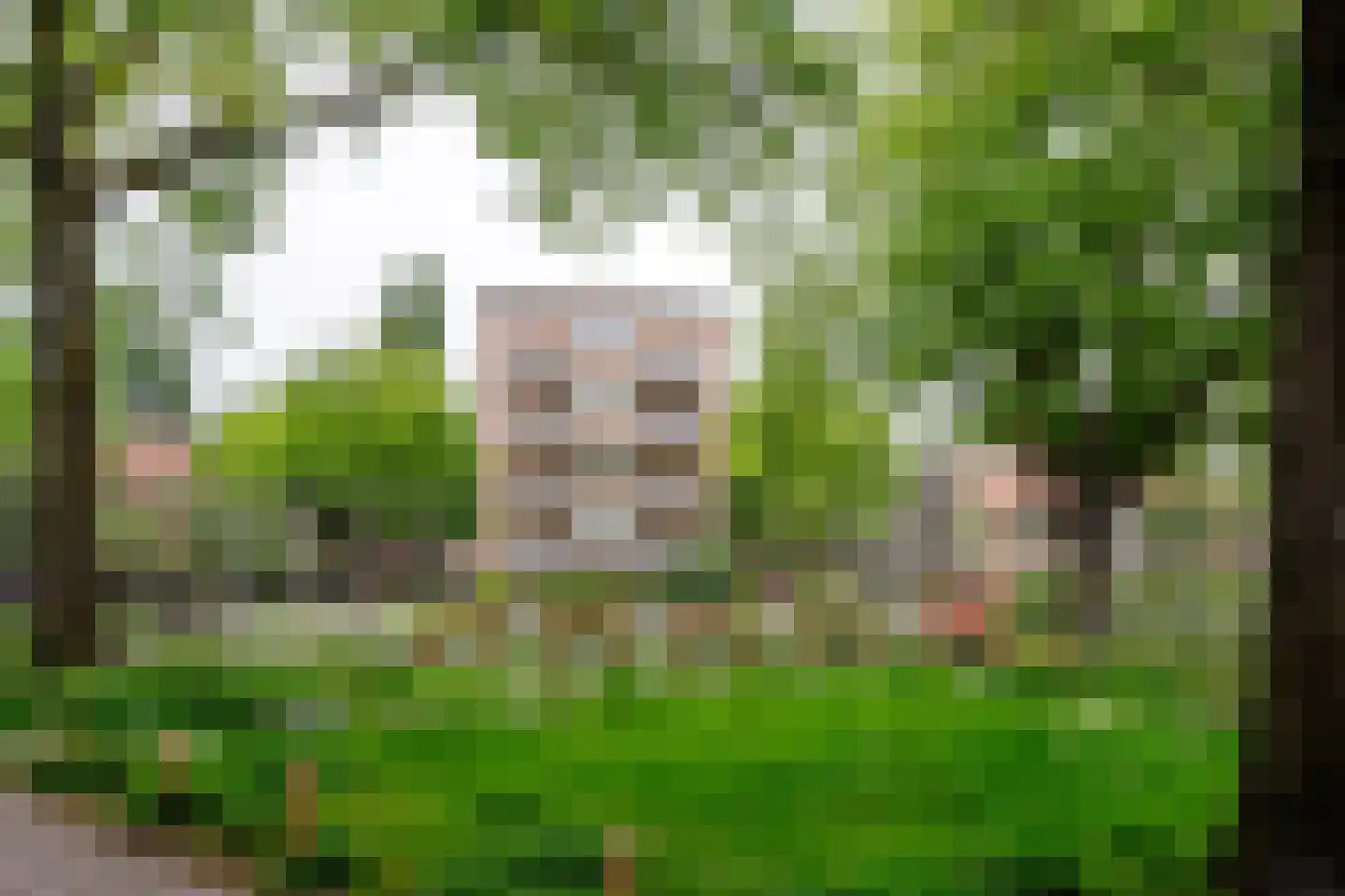 Kijkduinstraat 71 2 Amsterdam thumbnail 25