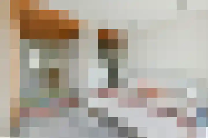 Kijkduinstraat 75 2 Amsterdam thumbnail 10