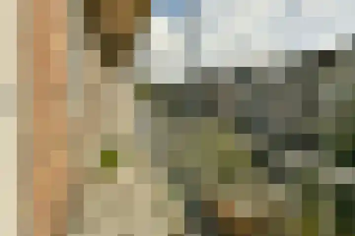 Kijkduinstraat 75 2 Amsterdam thumbnail 14