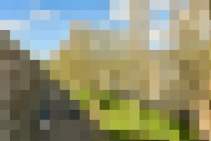 Kijkduinstraat 75 2 Amsterdam thumbnail 5