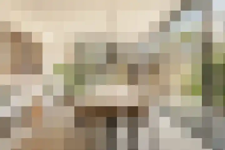Kijkduinstraat 75 H Amsterdam thumbnail 13