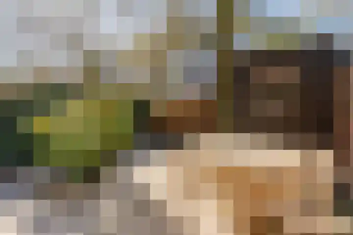 Kijkduinstraat 75 H Amsterdam thumbnail 16