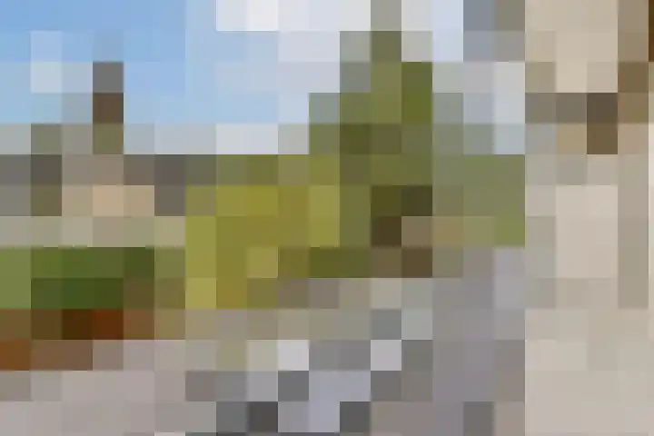 Kijkduinstraat 87 2 Amsterdam thumbnail 18