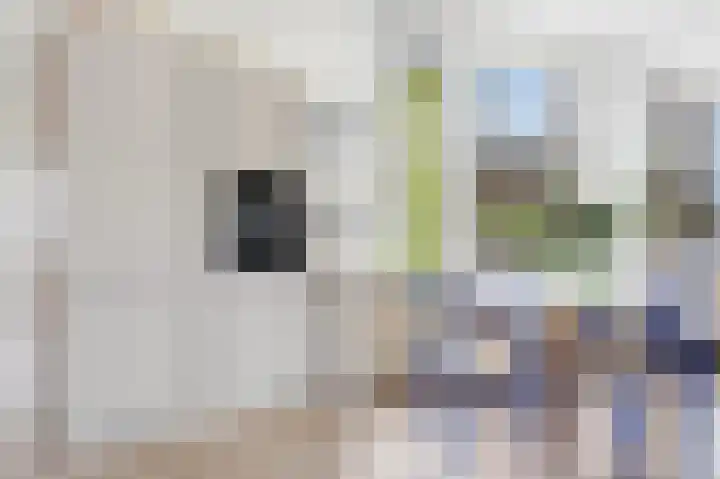 Kijkduinstraat 87 2 Amsterdam thumbnail 19