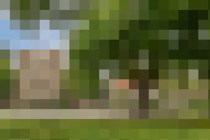 Kijkduinstraat 87 2 Amsterdam thumbnail 23
