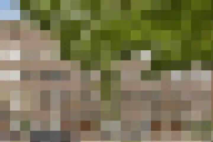 Kijkduinstraat 87 2 Amsterdam thumbnail 32