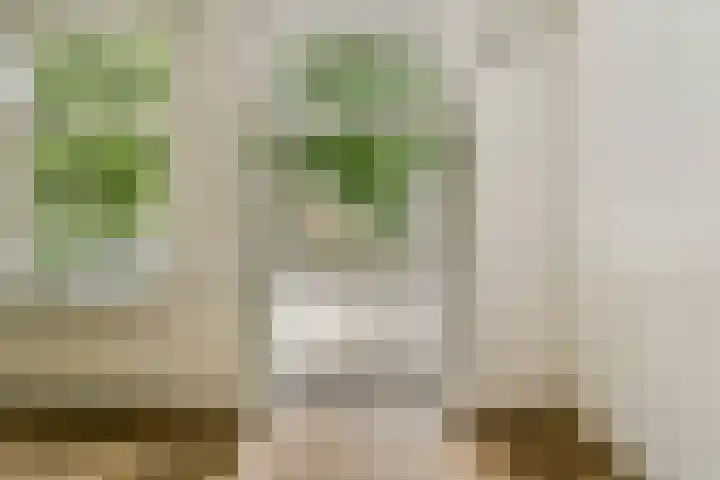Kijkduinstraat 87 2 Amsterdam thumbnail 6