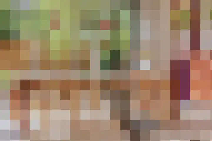 Kijkduinstraat 87 2 Amsterdam thumbnail 8