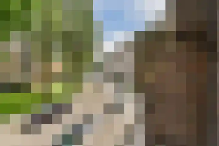 Kijkduinstraat 87 2 Amsterdam thumbnail 8