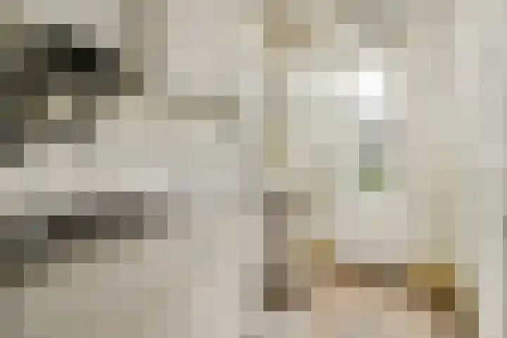 Kijkduinstraat 87 2 Amsterdam thumbnail 9