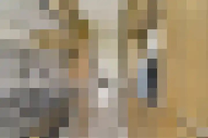 Kijkduinstraat 97 3 Amsterdam thumbnail 10