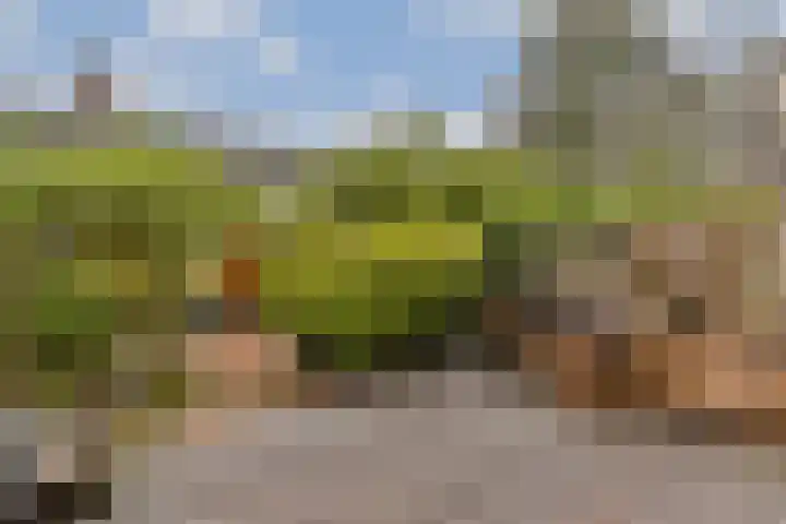 Kijkduinstraat 97 3 Amsterdam thumbnail 11