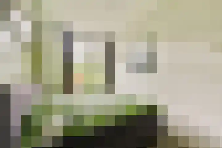 Kijkduinstraat 97 3 Amsterdam thumbnail 15