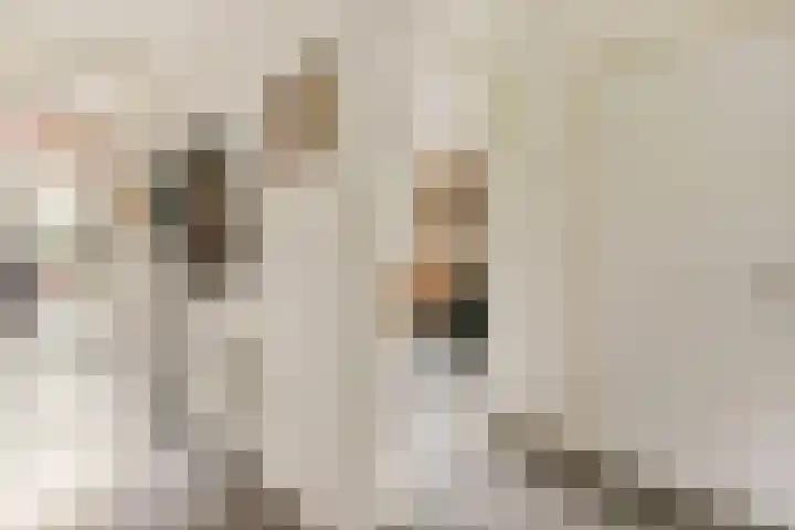 Kijkduinstraat 97 3 Amsterdam thumbnail 4