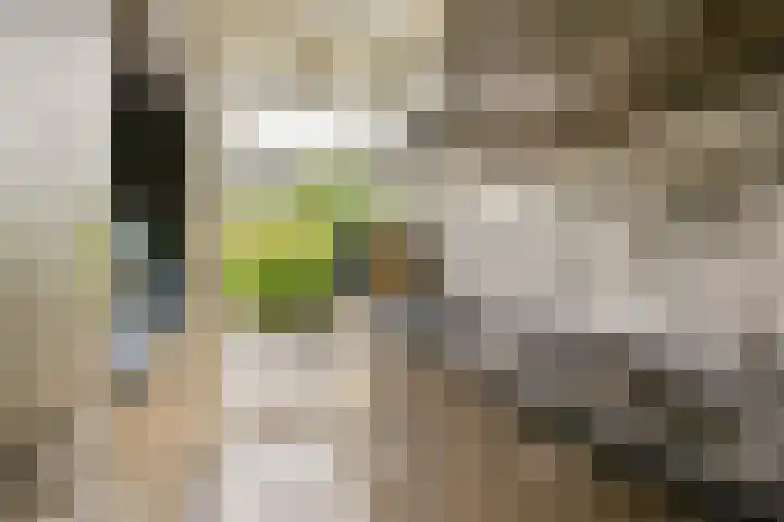 Kijkduinstraat 97 3 Amsterdam thumbnail 9