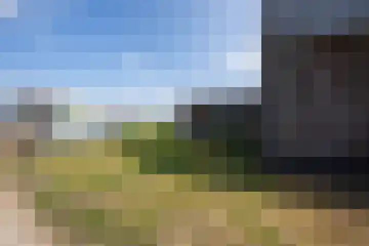 Kijkglas 26 Leerdam thumbnail 50