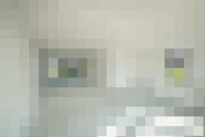 Kijkglas 26 Leerdam thumbnail 9