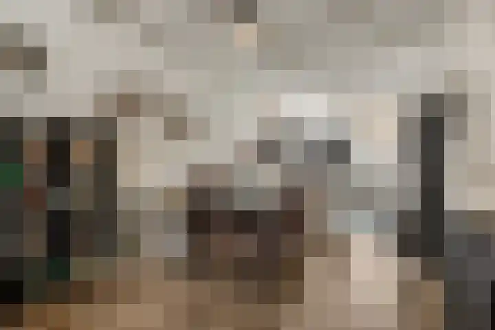 Kijkuit 12 Tiel thumbnail 10