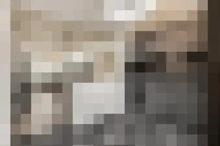 Kijkuit 12 Tiel thumbnail 13