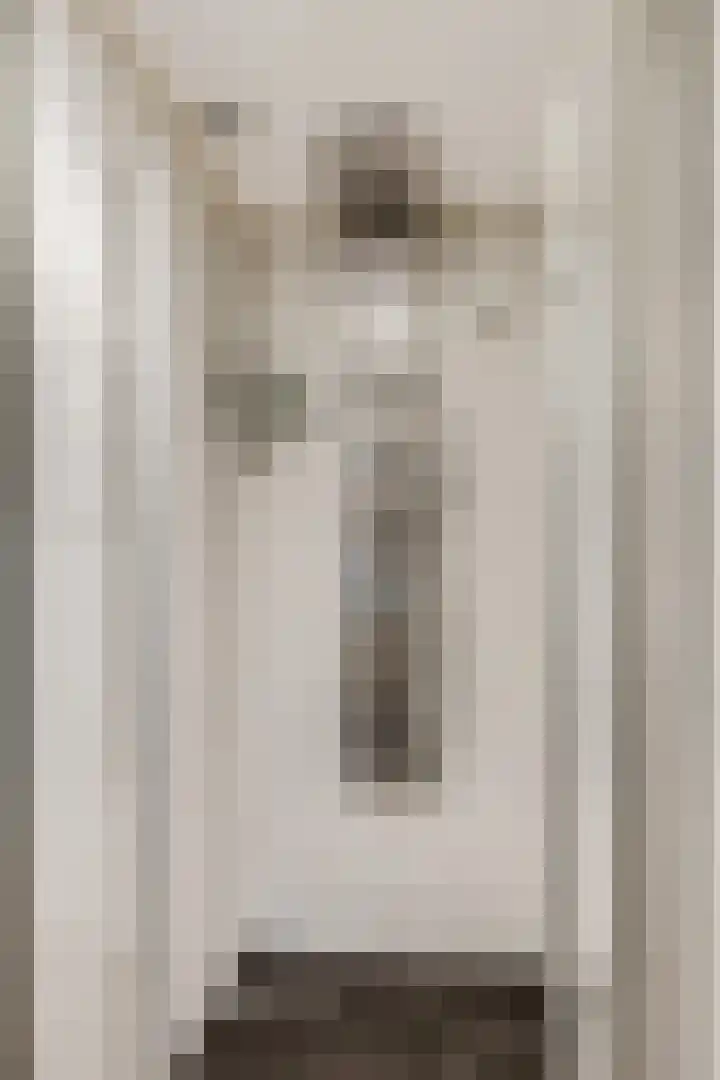 Kijkuit 12 Tiel thumbnail 14