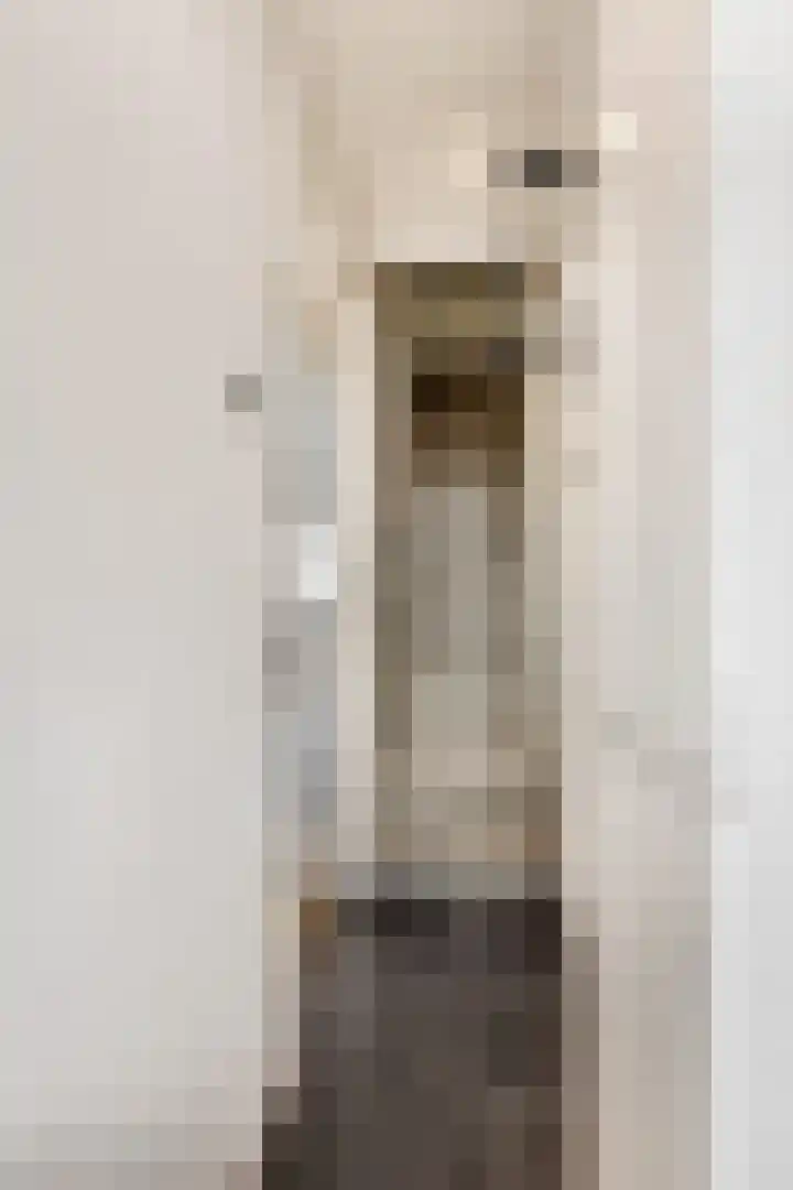 Kijkuit 12 Tiel thumbnail 17