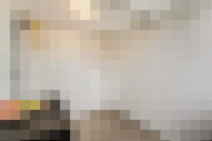 Kijkuit 12 Tiel thumbnail 21