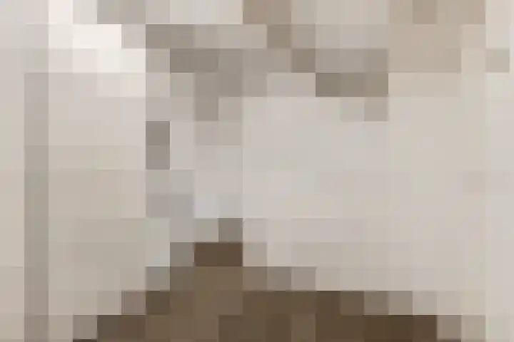 Kijkuit 12 Tiel thumbnail 24