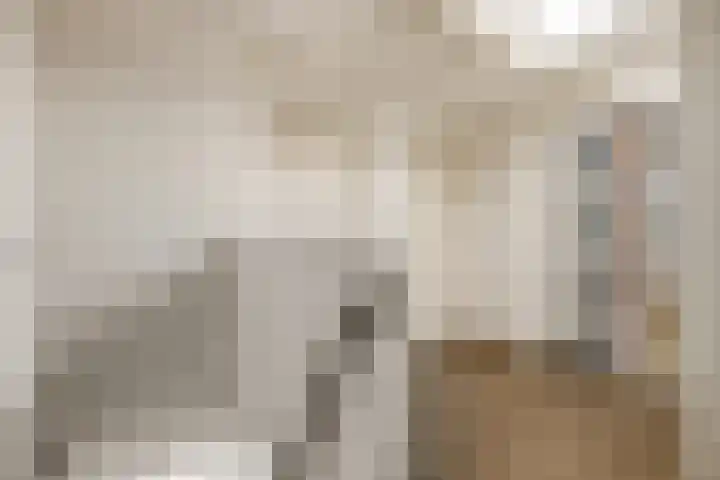 Kijkuit 12 Tiel thumbnail 25