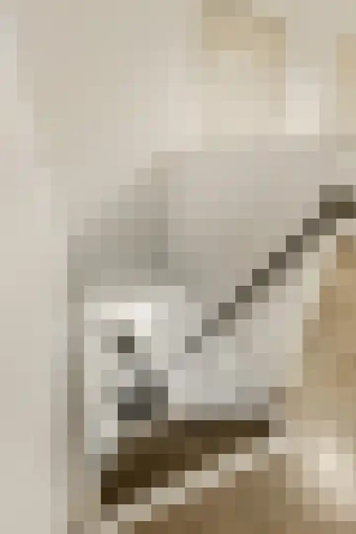 Kijkuit 12 Tiel thumbnail 26
