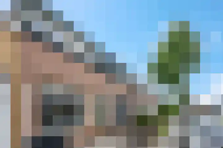 Kijkuit 12 Tiel thumbnail 36