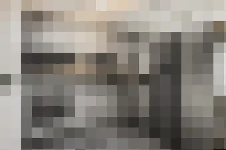 Kijkuit 12 Tiel thumbnail 4