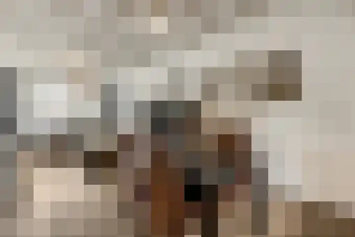 Kijkuit 12 Tiel thumbnail 8