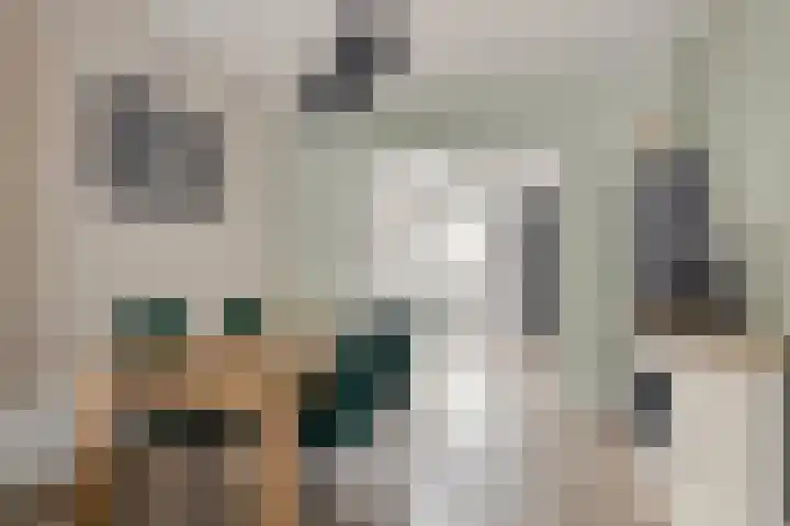Kijkuit 14 Tiel thumbnail 12