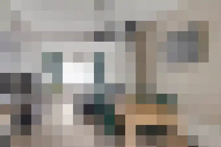 Kijkuit 14 Tiel thumbnail 13