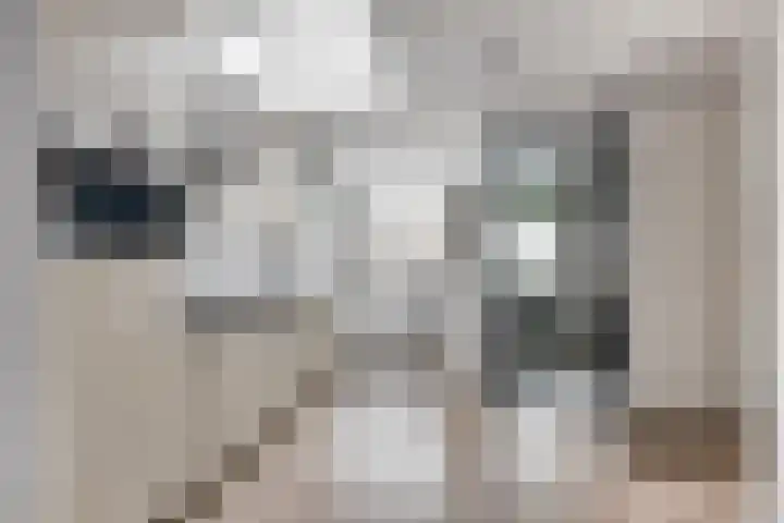 Kijkuit 14 Tiel thumbnail 14