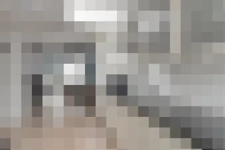 Kijkuit 14 Tiel thumbnail 15