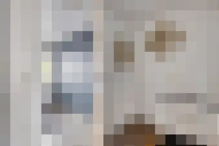 Kijkuit 14 Tiel thumbnail 23