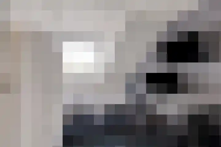Kijkuit 14 Tiel thumbnail 26