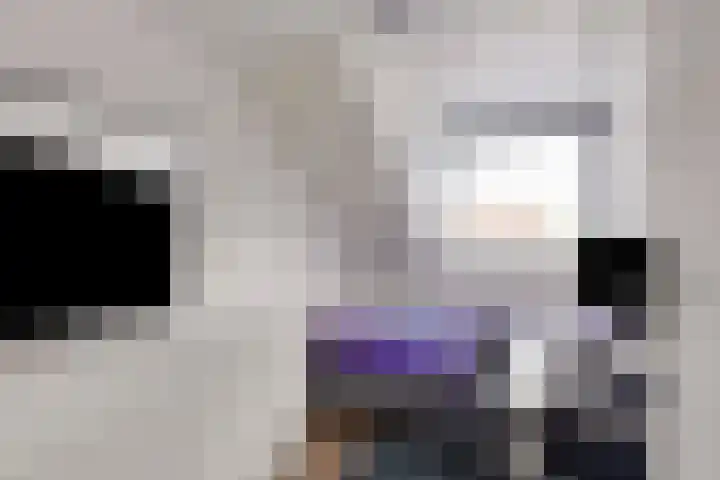 Kijkuit 14 Tiel thumbnail 33