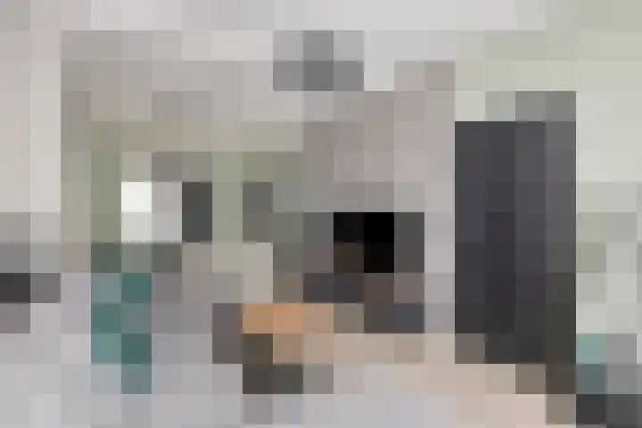 Kijkuit 14 Tiel thumbnail 9