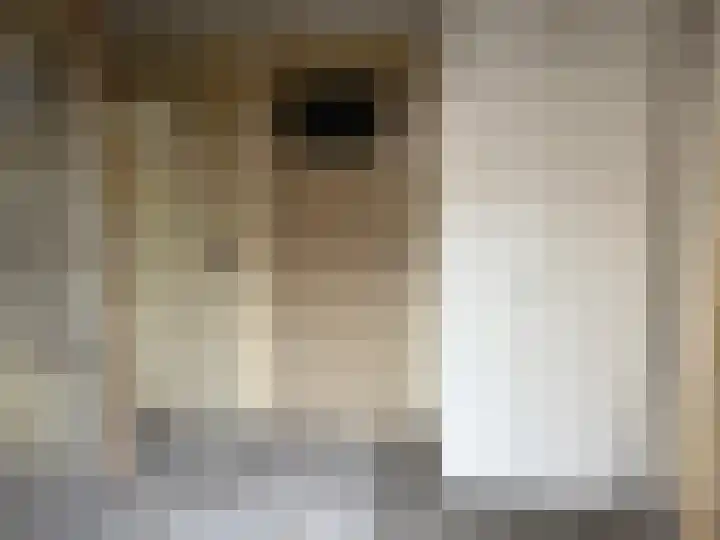 Kijkuit 16 Axel thumbnail 5