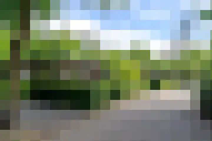 Kijkuit 24 Tiel thumbnail 19