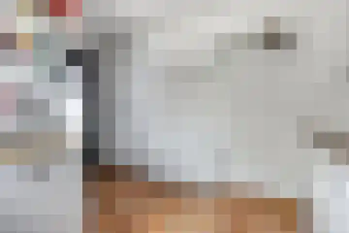 Kijkuit 24 Tiel thumbnail 23