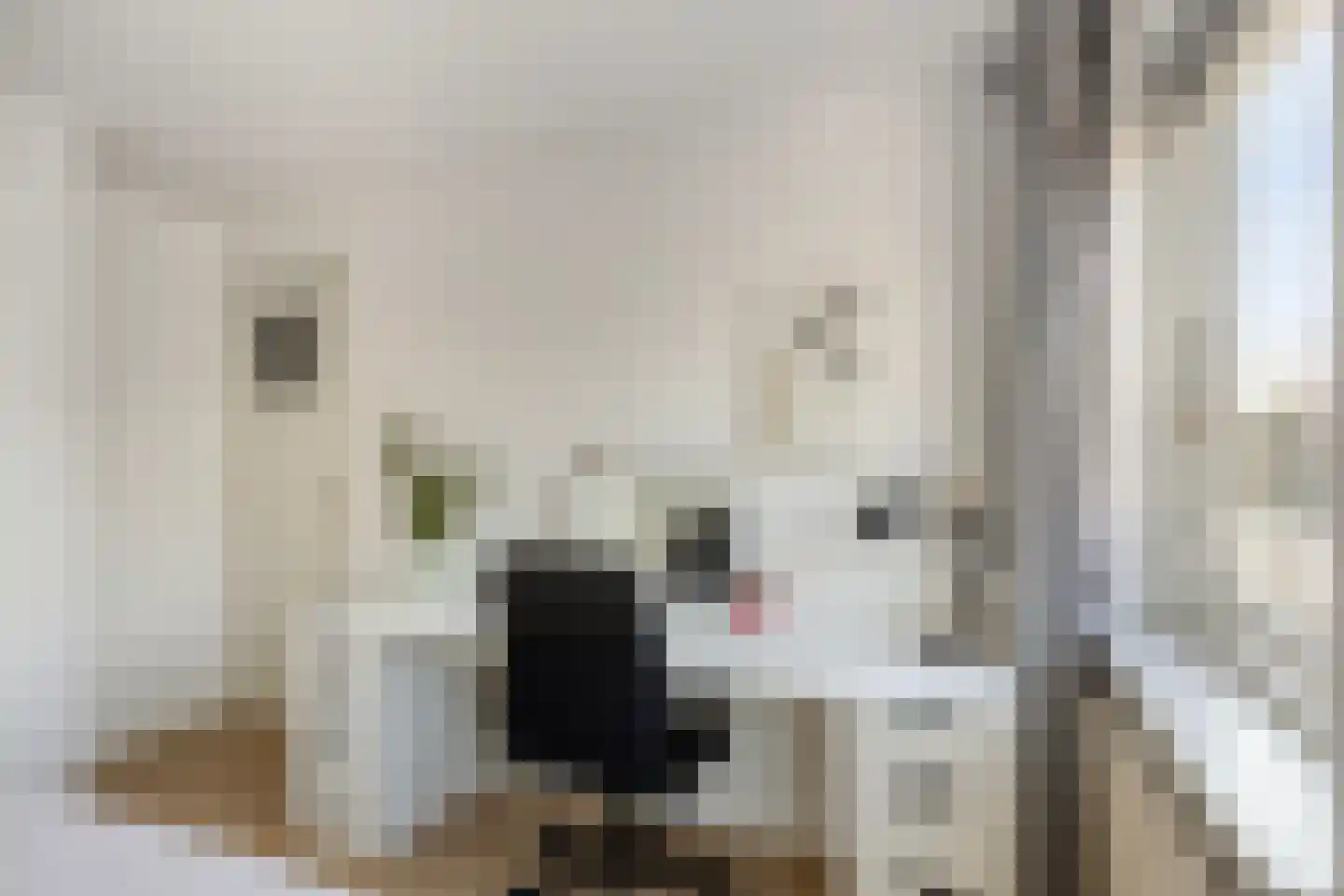 Kijkuit 24 Tiel thumbnail 34