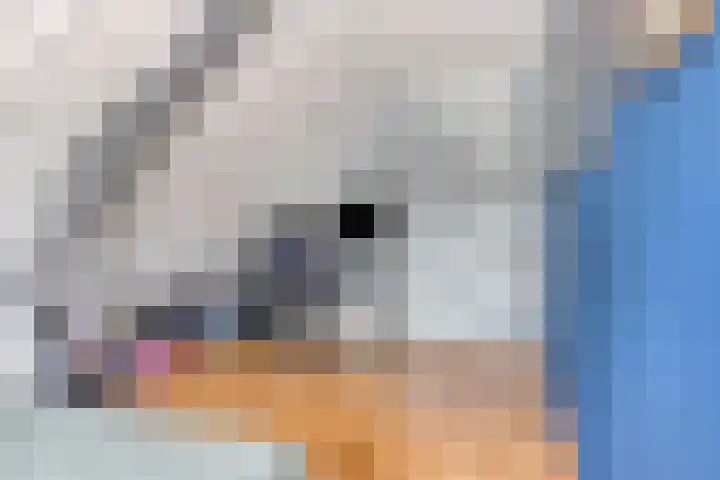 Kijkuit 24 Tiel thumbnail 34