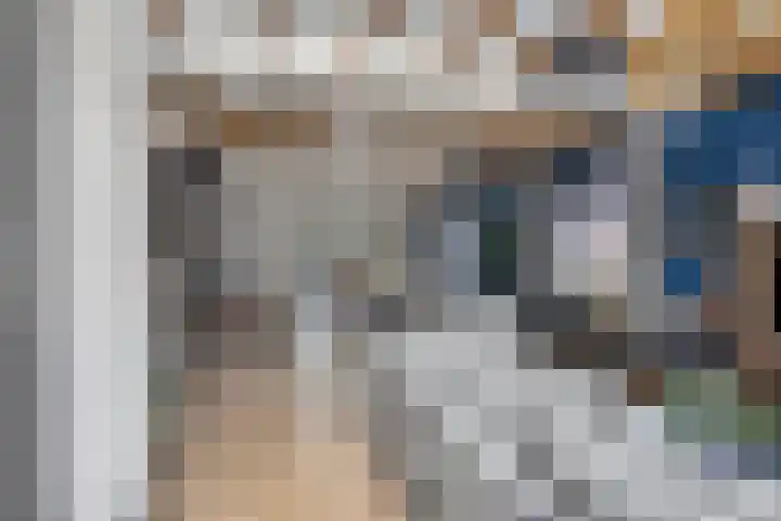 Kijkuit 24 Tiel thumbnail 8