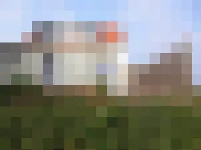Kijkuit 30 Axel thumbnail 24