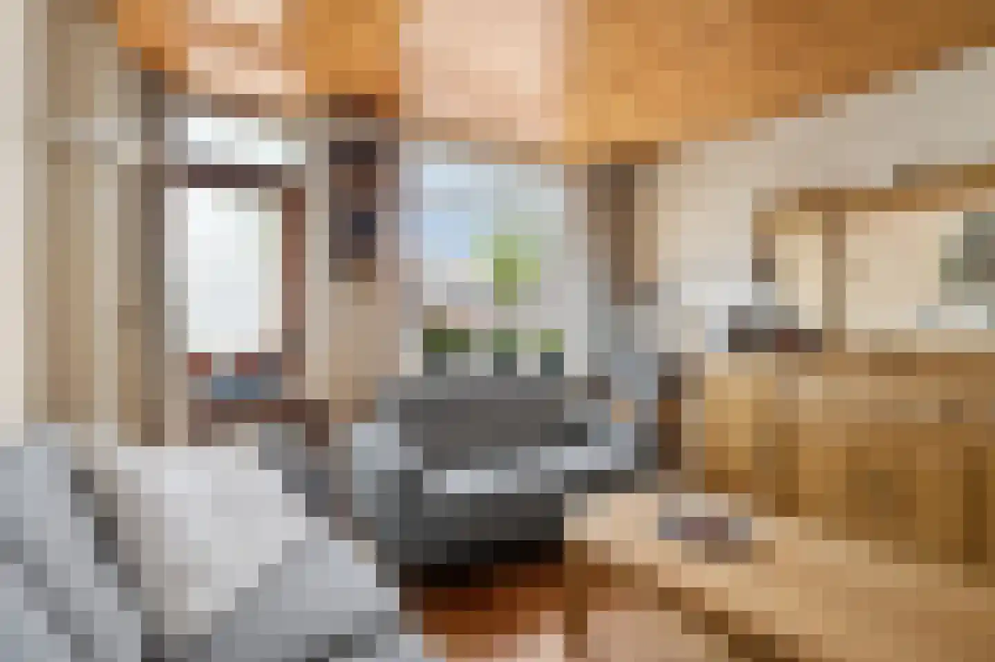 Kijkuit 38 Tiel thumbnail 7