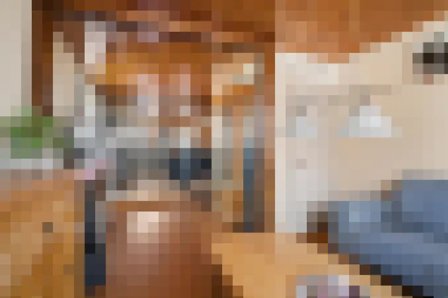 Kijkuit 38 Tiel thumbnail 8